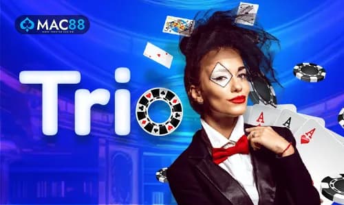 Bingo Madness